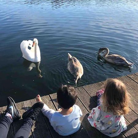 Haus Wilma Gruene Idylle Im Wald Direkt Am See ヴェンディッシュ・リーツ エクステリア 写真