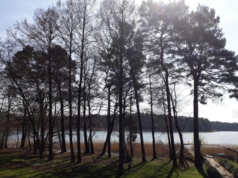 Haus Wilma Gruene Idylle Im Wald Direkt Am See ヴェンディッシュ・リーツ エクステリア 写真