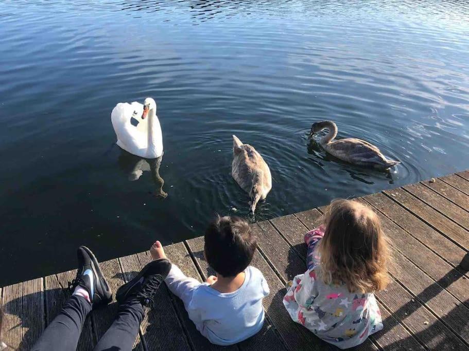Haus Wilma Gruene Idylle Im Wald Direkt Am See ヴェンディッシュ・リーツ エクステリア 写真