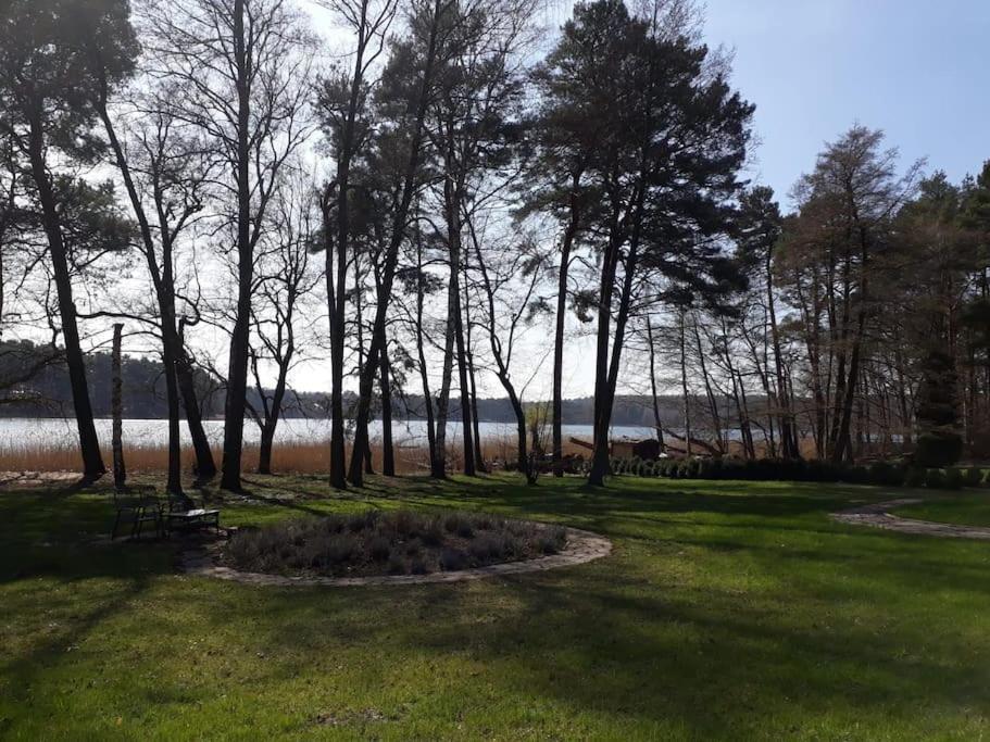 Haus Wilma Gruene Idylle Im Wald Direkt Am See ヴェンディッシュ・リーツ エクステリア 写真