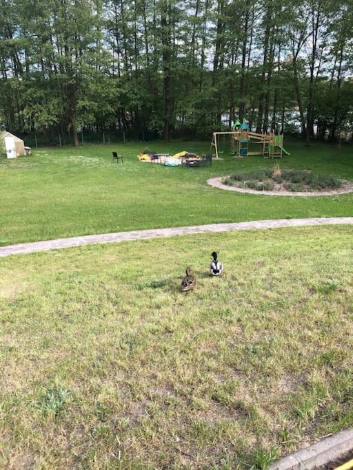 Haus Wilma Gruene Idylle Im Wald Direkt Am See ヴェンディッシュ・リーツ エクステリア 写真
