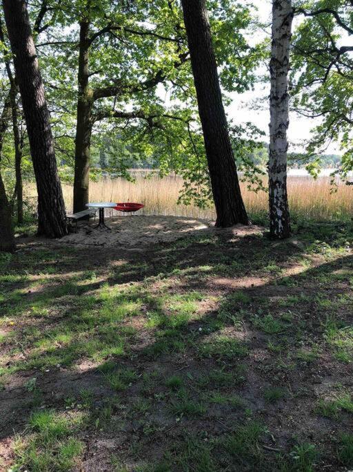 Haus Wilma Gruene Idylle Im Wald Direkt Am See ヴェンディッシュ・リーツ エクステリア 写真